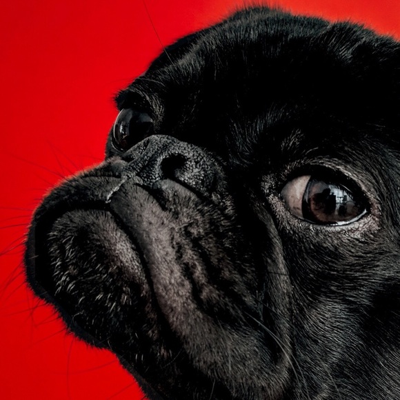 Meet your Posher, Mari - Picture 1 of 1